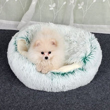 Load image into Gallery viewer, 2-in1 Pet Bed - Green / 50cm