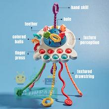 Load image into Gallery viewer, Sensory Development Baby Toys
