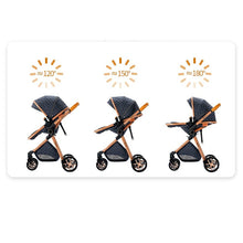 Carregar imagem no visualizador da galeria, Luxury High Landscape Reclining Foldable 3 in 1 Baby Stroller