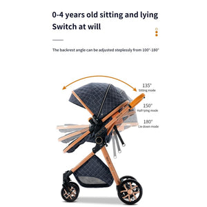 Luxury High Landscape Reclining Foldable 3 in 1 Baby Stroller